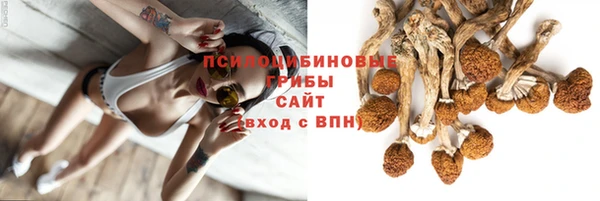 спиды Майский