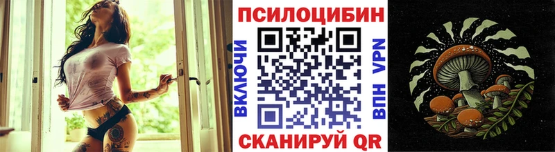где продают наркотики  Мещовск  mega рабочий сайт  Галлюциногенные грибы MAGIC MUSHROOMS 